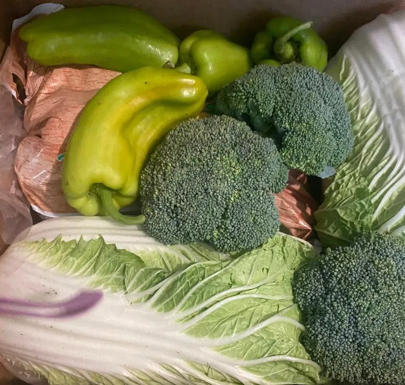Fresh peppers, broccoli, and cabbage for the food boxes